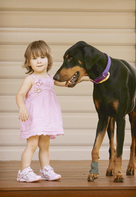 dober3
