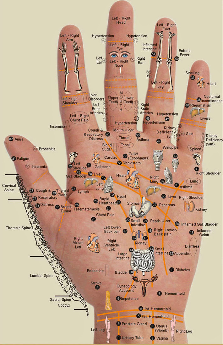 handso