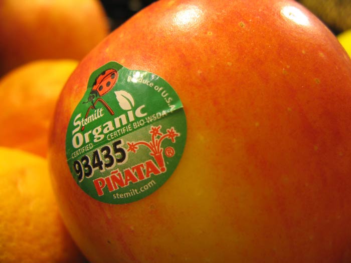fruti